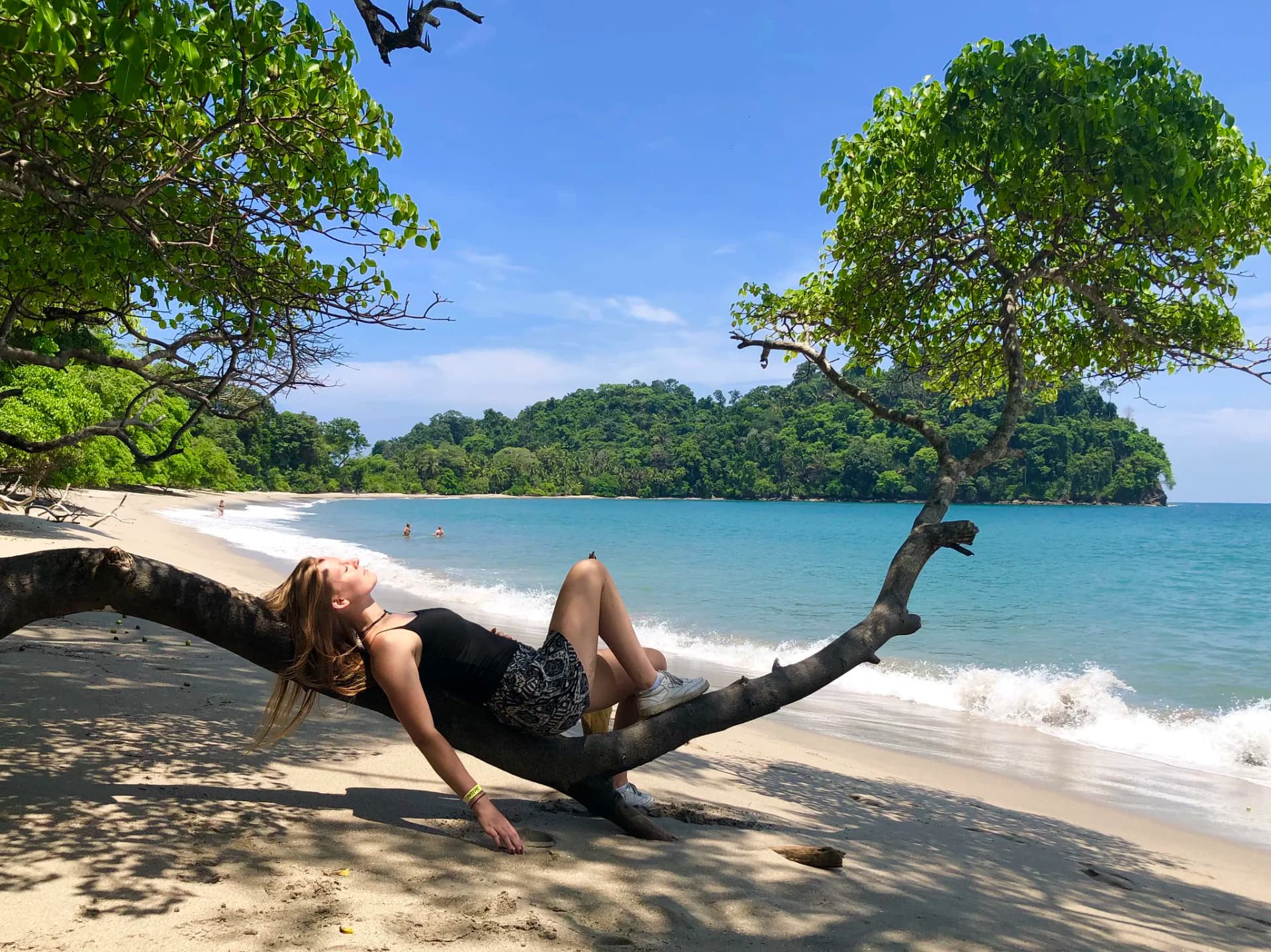 Student slapper av på et tre ved stranden i Costa Rica under et språkopphold.
